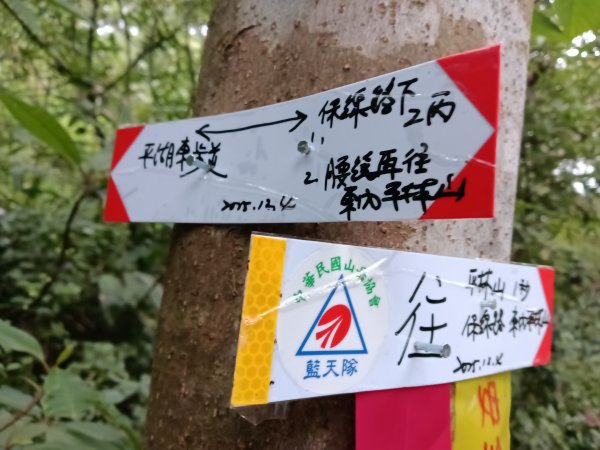 雙溪區彎穹平林山+平湖東步道+紙坑古道(億山煤礦)+紙坑山出平水聚落O型2965778