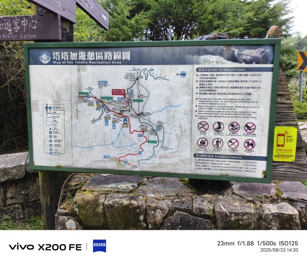 [玉山尋寶任務-05/12] 2025_0823 塔塔加步道(大鐵杉登山步道)2869641