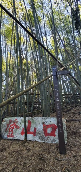 2025-01-30瑞太古道2704368