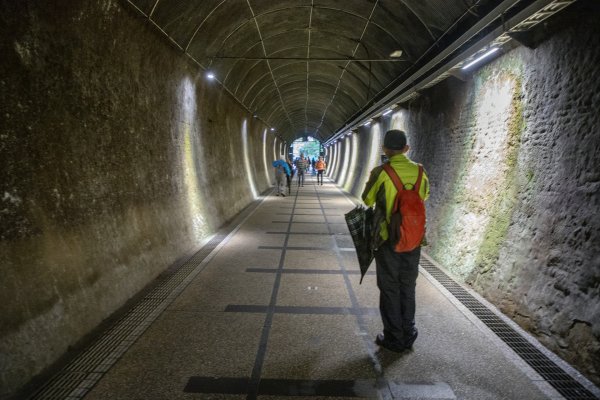 暖東峽谷/草嶺舊隧道2816510
