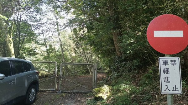 20251010 大雪山國家森林遊樂區 - 船型山林道 登 烏石坑山2911039