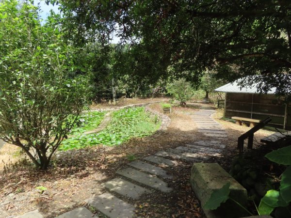 旱溪源頭自然生態區2878016