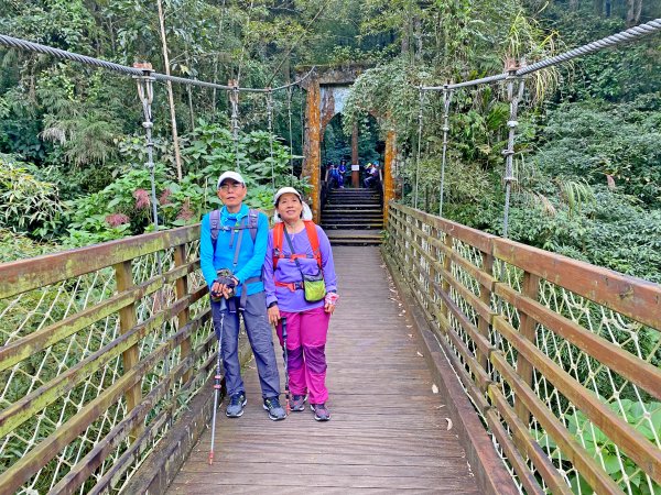 溪頭悠遊盡享森林浴 2020/11/191175767
