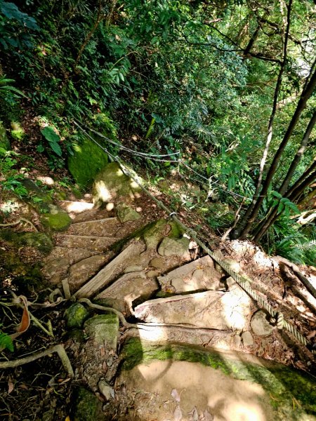 (鳶山山系)鳶山彩壁-2025微笑山線大縱走尋寶集章任務2855211