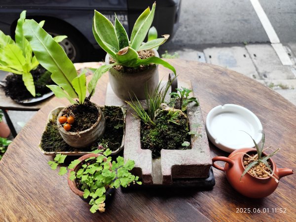 基隆輪胎步道、大武崙山、外木山國旗嶺步道、中山峽谷步道、外木山濱海大道、海龜岩2808284