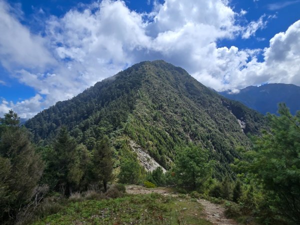 塔塔加步道（大鐵杉登山步道）2883109