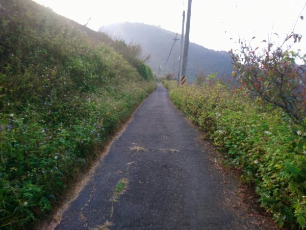 馬那邦山(小百岳編號037)720078