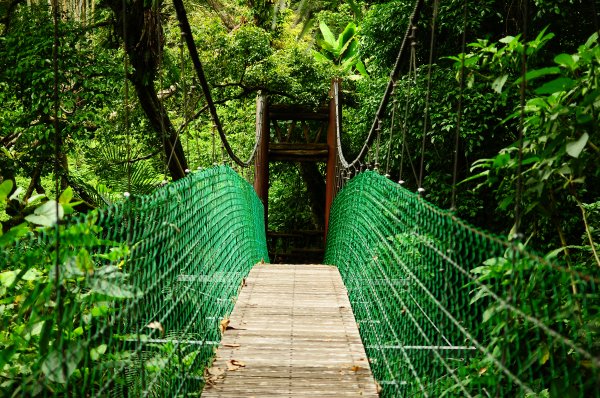 鄒族雅吾瑪斯步道916896
