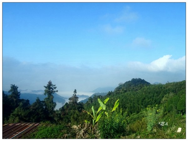奮起湖大凍山(小百岳)1614077