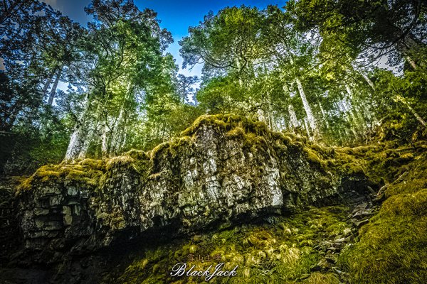 雪山主峰一日單攻963332