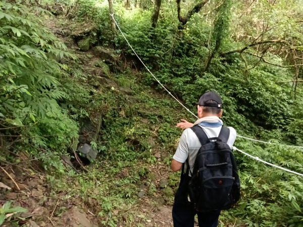 雙溪區威惠廟+下坑山+570峰+大埤格+崩山坑古道O型2814826