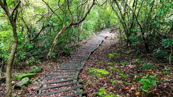 暖東峽谷大環小環2834415