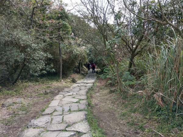 冷水坑-擎天崗環狀步道(竹嵩山)-風櫃嘴821045