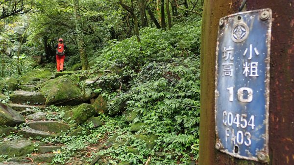 遊走昔日礦業廢墟感受時空與山海景致交錯的瑞芳大小粗坑古道健行記2097762