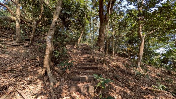 崁頭山步道3002465