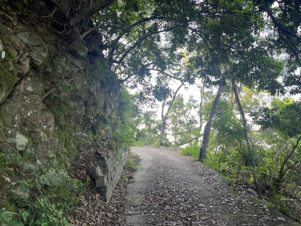 [屏步青雲 尋寶任務-02/10] 2024_0916 尾寮山登山步道2597283