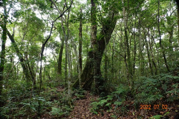 桃園 復興 夫婦山1751559