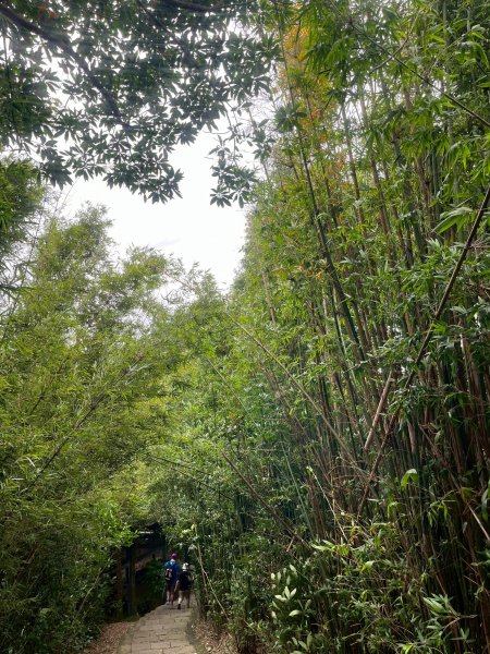 2025/7/23觀音山硬漢嶺2844604