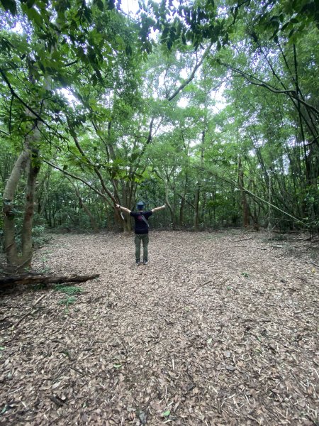 20250614-《皮皮獅秘密任務啟動！搶先探路三段崎古道｜森遊竹縣鐵粉任務大公開》2852024