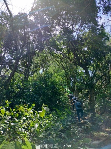 【高雄大社/岡山】郊山連峰稍有挑戰。 大社觀音山步道(立山x高崎山x長野山)2559939