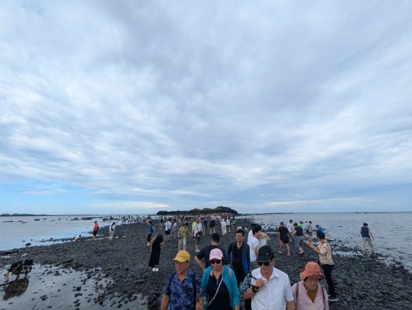 2026.08.15－奎壁山自然步道3110491