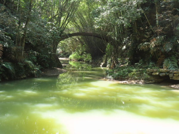 澀水森林步道(+水上瀑布)O形