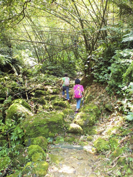 東勢格越嶺步道17884