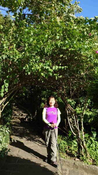 【山系野遊,探索觀音山尋寶任務】尖山步道1146095