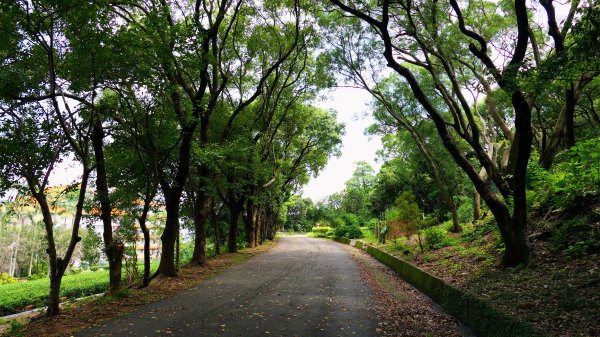 茶山步道,鎮南橋,鴉片菸潭,通學古道2602616