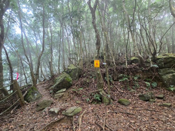 水雲三星～上島山（鳥嘴山）2931245