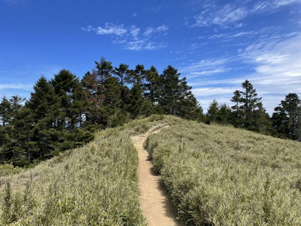 合歡北、西峰(三訪)113.04.212492795