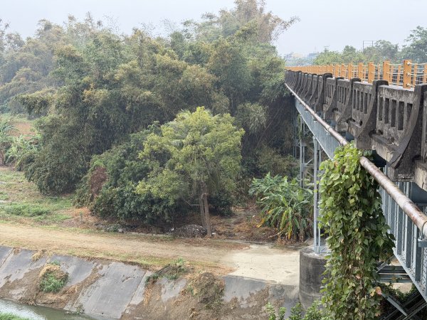 [山海圳_大圳之路_第一段] 2026_0228 茄拔天后宮_南湖口_曾文溪渡槽橋3009196