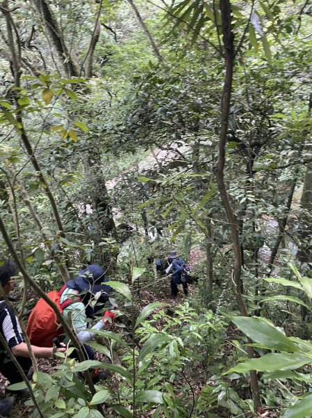 雙港仔群峰2794262