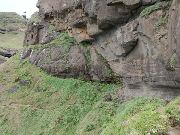 瑞芳區神秘海岸+鼻頭角燈塔+鼻頭角稜谷步道O型2760156