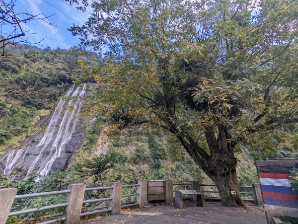 烏來三瀑布健行：烏來台車&瀑布。信賢步道&瀑布。內洞國家森林遊樂區步道&瀑布1553107