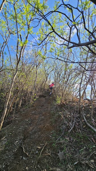 【沒事夏天別走】巴層巴墨山2806735