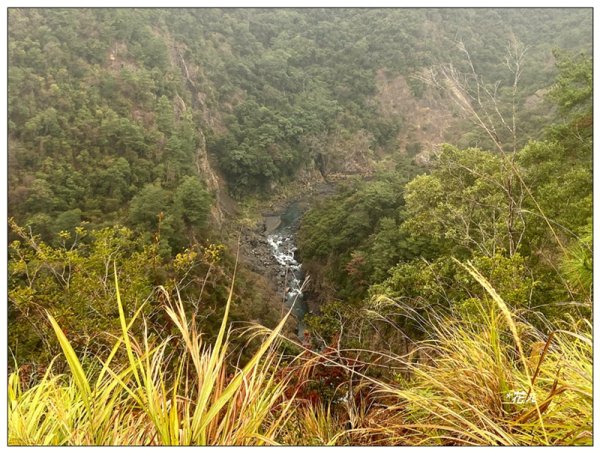惠蓀林場 杜鵑嶺 O遶一圈3010283