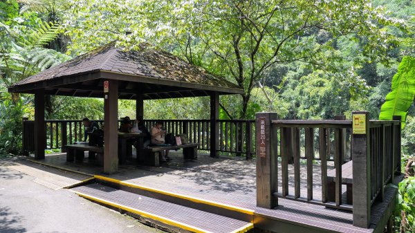 福山部落,內洞森遊區2552397