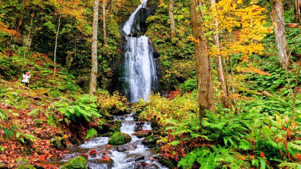 青森縣奧入瀨溪2929976