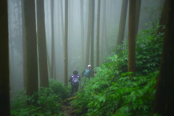 向天湖山步道 (大 O：含三角湖山、光天高山)2664942