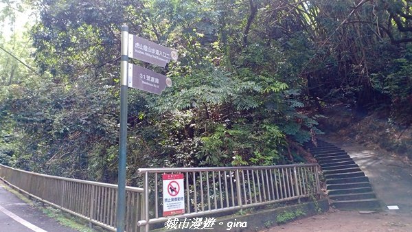 【南投草屯】蝴蝶紛飛可惜抵擋不了低海拔蚊子攻擊。 虎山步道x中興新村2856633