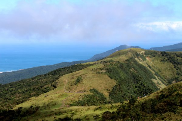 草嶺古道-桃源谷遍野芒花翻飛，飽覽絕美山海奇景！2335606