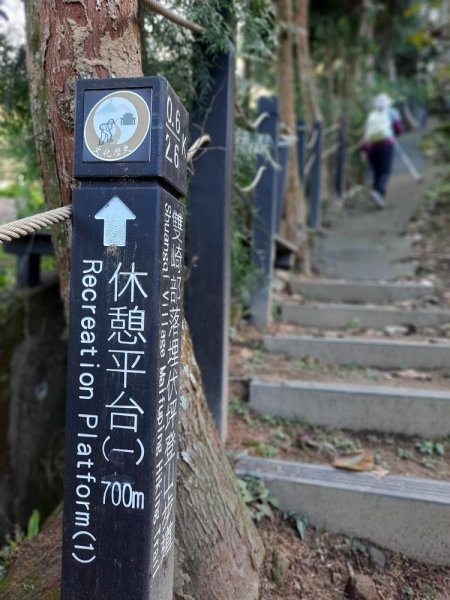 《台中》驚艷雙崎部落｜埋伏坪步道202112121203690