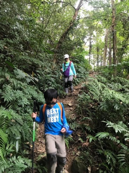 獅頭山、猿山、獅尾山三連走525969