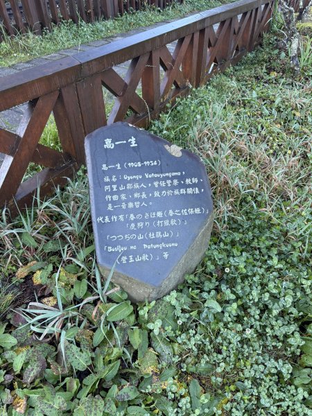 20251225塔山步道(大塔山)2970247