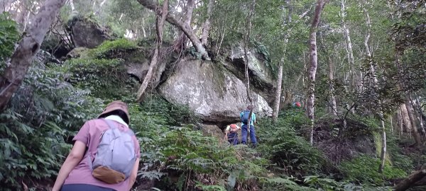 20240720_油羅山+太閣南山2555905