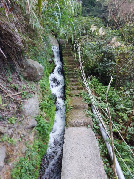 橫嶺古道-半嶺古道1582119