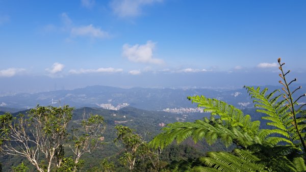 二格山登山步道草湳線2574072