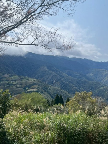 桃園 復興 巴陵鐵塔3012035