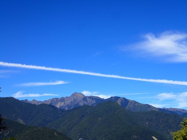 福壽山農場楓紅了1174105